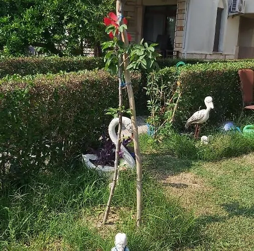 Havuzlu Bahceli Muestakil Apartman Side