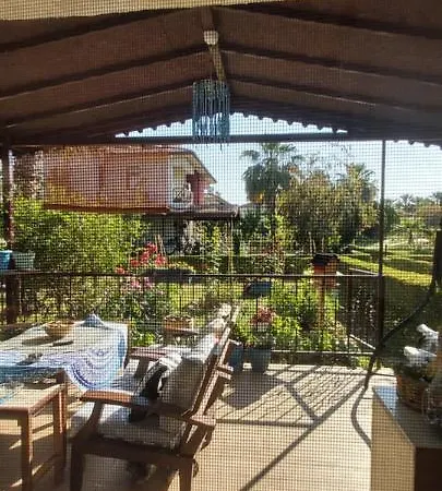Havuzlu Bahceli Muestakil شقة