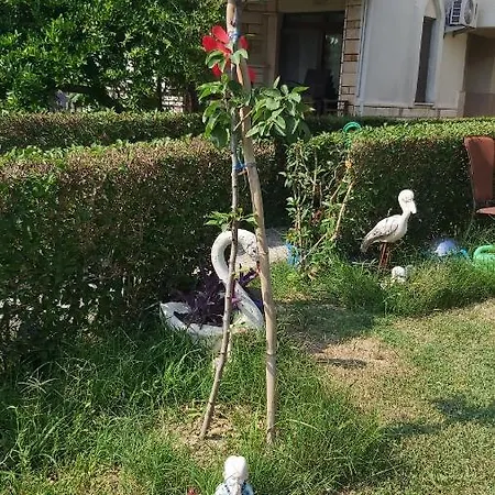 Havuzlu Bahceli Muestakil Apartament Side